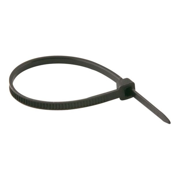 Abraçadeira Conduteck TP14 350M Preta Steck