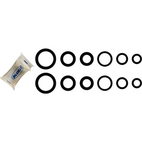 Kit de Anéis O'Ring Blukit