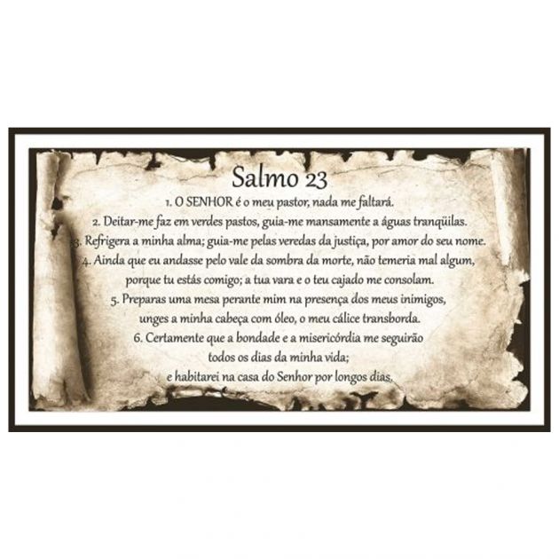 Revestimento Salmo 23A 32x57CM Cedasa